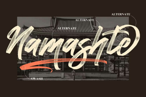 20+ Best Free Brush Fonts for Designers for 2024