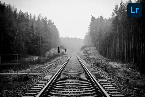 10 Best Free Lightroom Presets for Black & White Photography