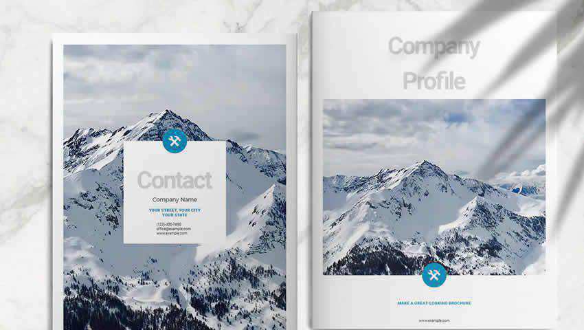 Blue Business Brochure Layout